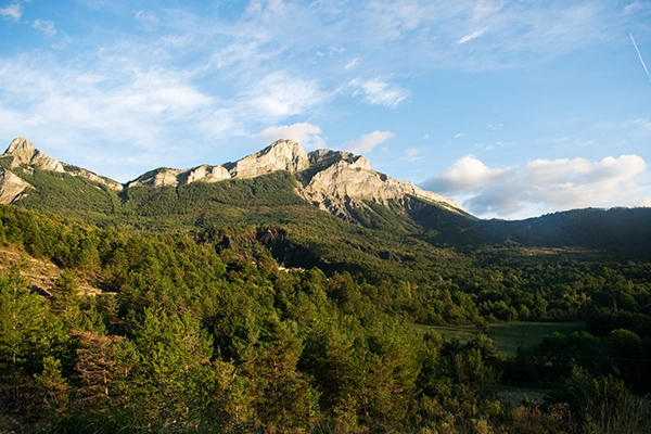 van amenage peugeot expert decors